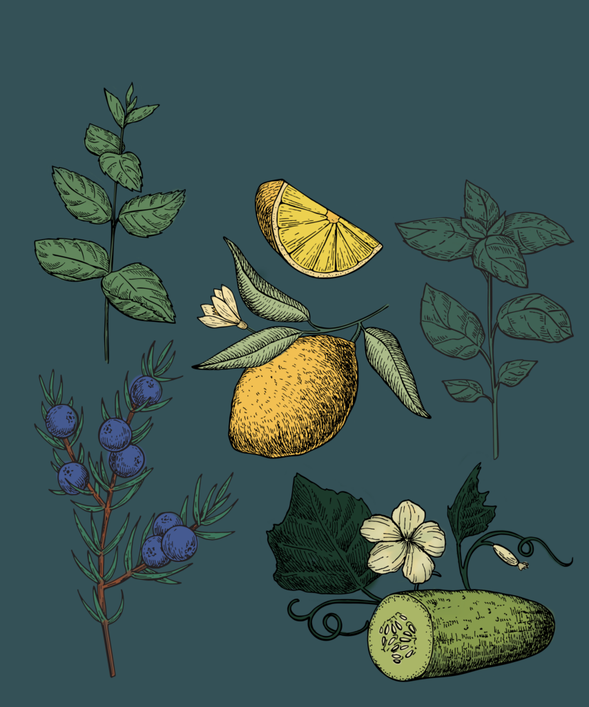 COMPOSICIÓN